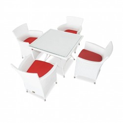 Jojio Rattan  Chairs Set  White color