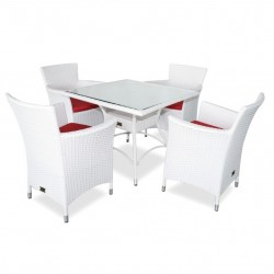 Jojio Rattan  Chairs Set  White color