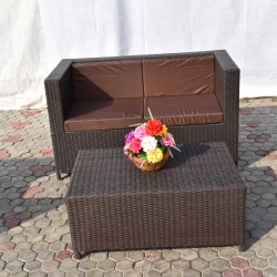 Outdoor Rattan 2 seater sofa with Table